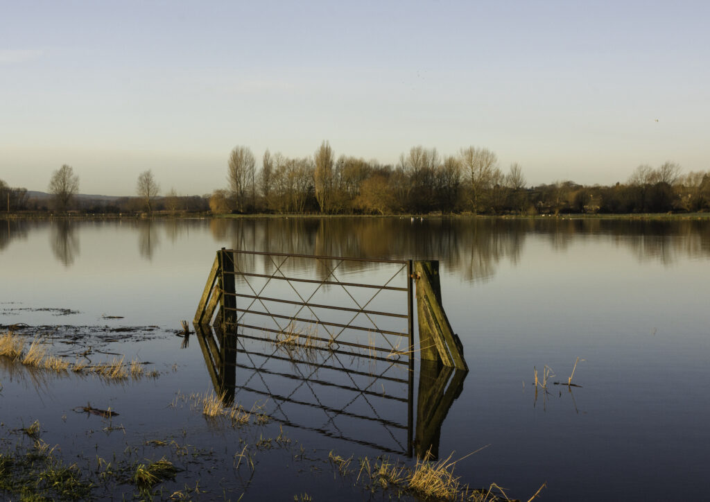 Flooded field with farm gate in the middle